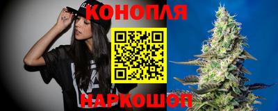 spice Дубна