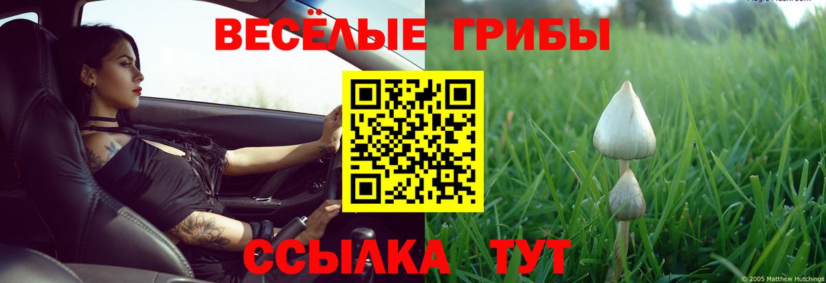 Псилоцибиновые грибы мухоморы  Вход с VPN  Можайск 